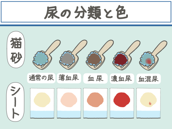 尿の分類と色